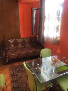 Apartment near The park Kikvidze